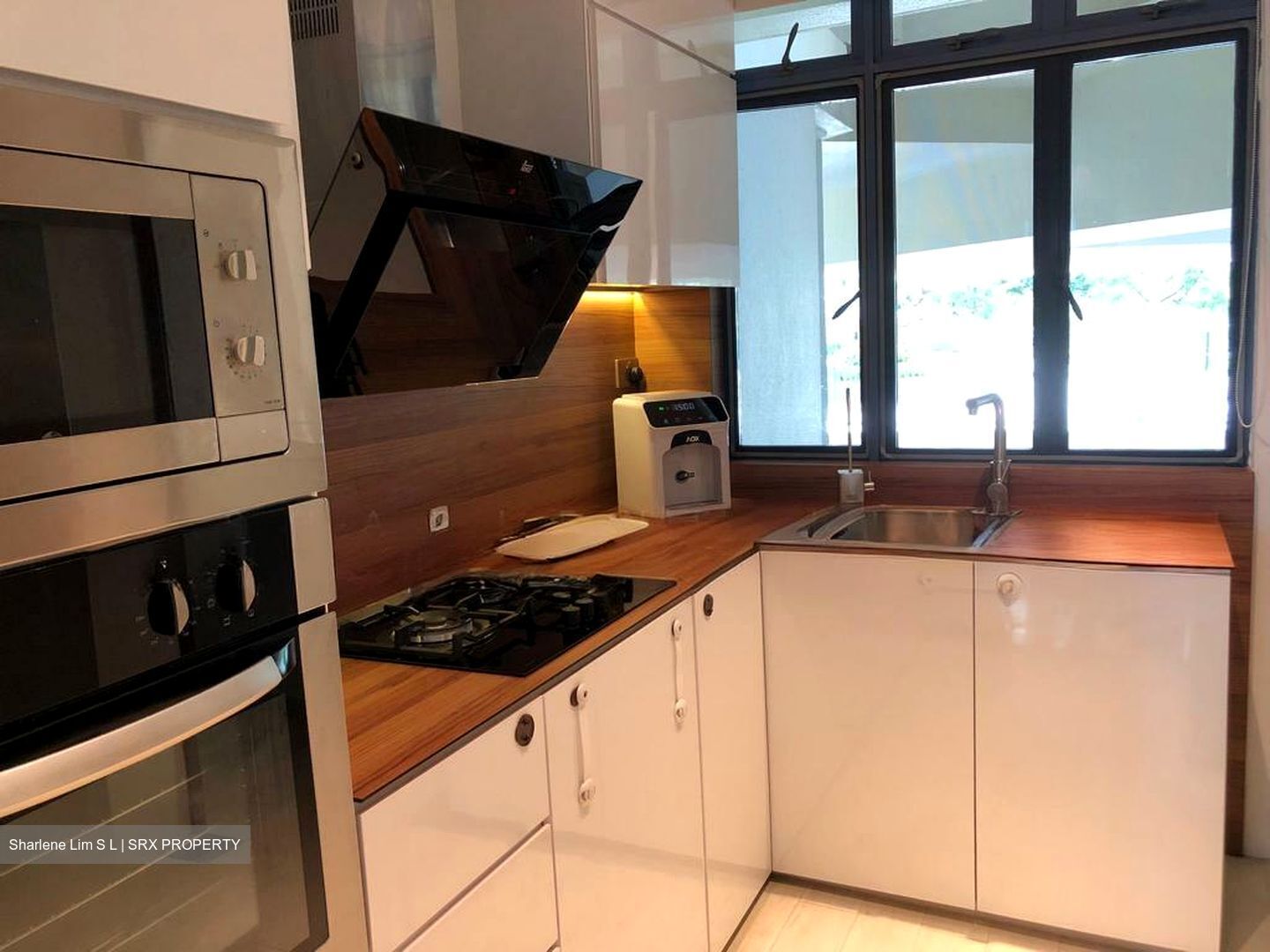 Sanctuary Green (D15), Condominium #521560641